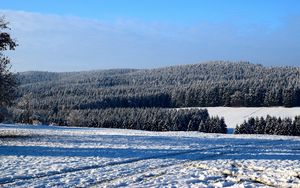 Preview wallpaper field, winter, snow, trees