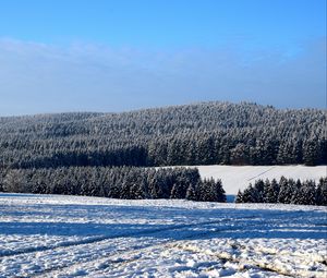 Preview wallpaper field, winter, snow, trees