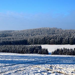 Preview wallpaper field, winter, snow, trees