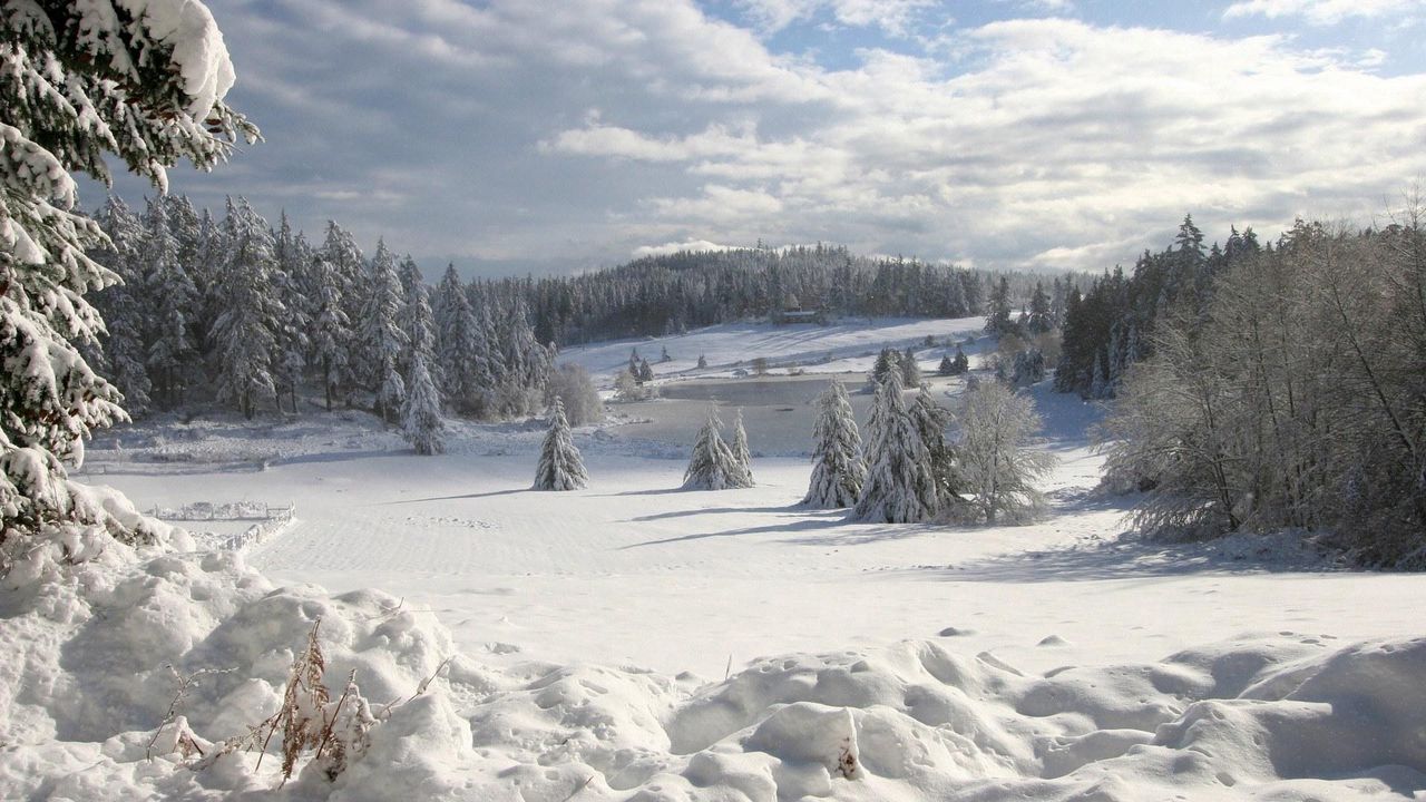 Wallpaper field, winter, snow, fir-trees, cover, attire, snowdrifts, clouds, sky, wood, friable