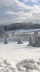 Preview wallpaper field, winter, snow, fir-trees, cover, attire, snowdrifts, clouds, sky, wood, friable