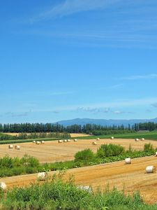 Preview wallpaper fields, economy, hay, straw, preparation, summer