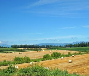 Preview wallpaper fields, economy, hay, straw, preparation, summer