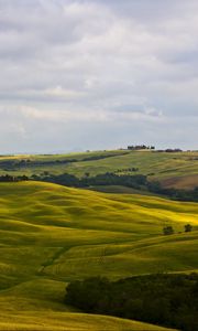 Preview wallpaper fields, italy, montalcino, tuscany, nature