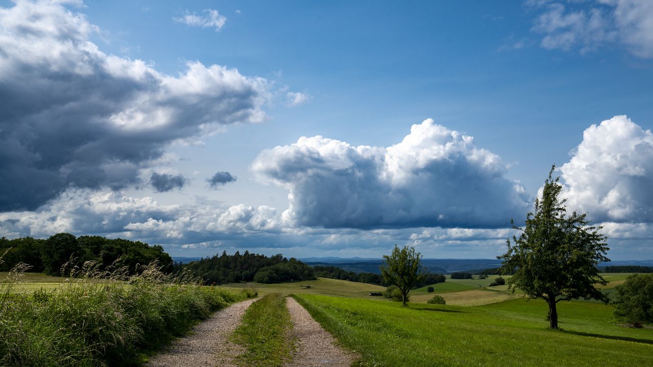 Wallpaper fields, trees, bushes, clouds, sky, landscape