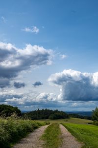 Preview wallpaper fields, trees, bushes, clouds, sky, landscape