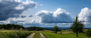 Preview wallpaper fields, trees, bushes, clouds, sky, landscape