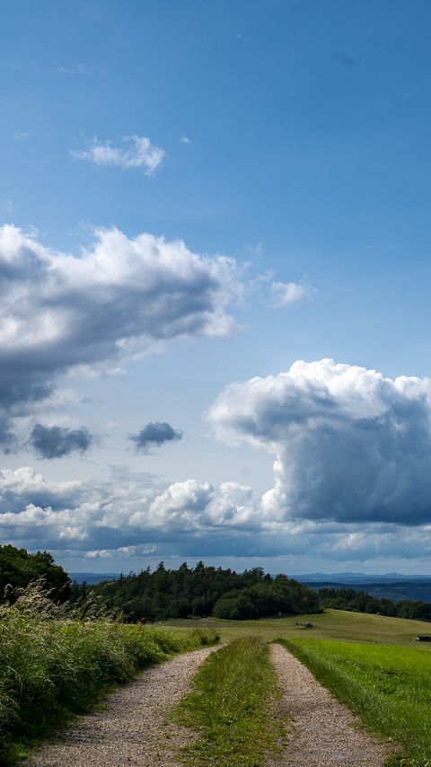 480x854 Wallpaper fields, trees, bushes, clouds, sky, landscape