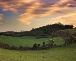 Preview wallpaper fields, trees, strip, greens