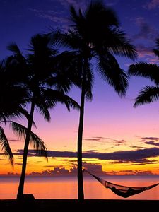 Preview wallpaper fiji, palm trees, hammock, evening, decline, coast