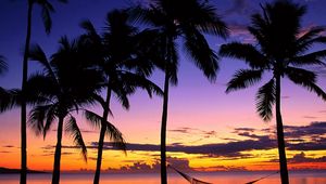 Preview wallpaper fiji, palm trees, hammock, evening, decline, coast