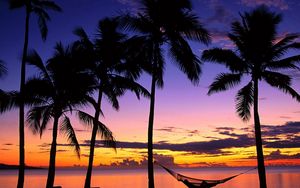 Preview wallpaper fiji, palm trees, hammock, evening, decline, coast