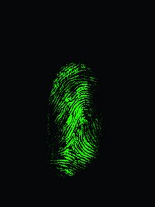 Preview wallpaper fingerprint, finger, scanner, green, trace