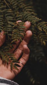 Preview wallpaper fingers, hand, branches, leaves