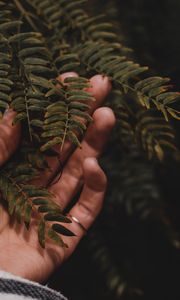 Preview wallpaper fingers, hand, branches, leaves