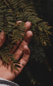 Preview wallpaper fingers, hand, branches, leaves