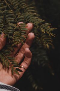 Preview wallpaper fingers, hand, branches, leaves