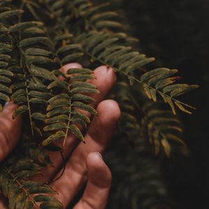 Preview wallpaper fingers, hand, branches, leaves