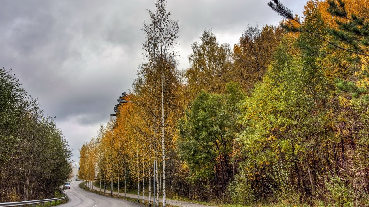 Wallpaper finland, road, wood, asphalt, trees, autumn, cloudy, car