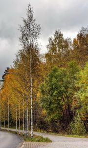 Preview wallpaper finland, road, wood, asphalt, trees, autumn, cloudy, car