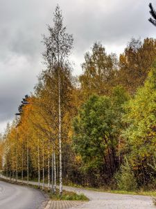 Preview wallpaper finland, road, wood, asphalt, trees, autumn, cloudy, car