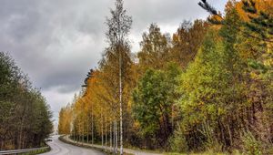 Preview wallpaper finland, road, wood, asphalt, trees, autumn, cloudy, car