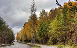 Preview wallpaper finland, road, wood, asphalt, trees, autumn, cloudy, car