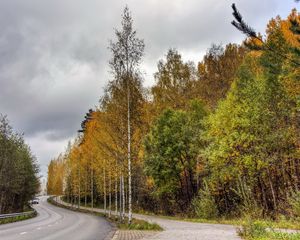 Preview wallpaper finland, road, wood, asphalt, trees, autumn, cloudy, car