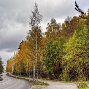 Preview wallpaper finland, road, wood, asphalt, trees, autumn, cloudy, car