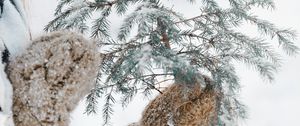 Preview wallpaper fir, branch, snow, hands, mittens