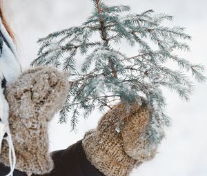Preview wallpaper fir, branch, snow, hands, mittens