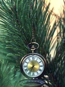 Preview wallpaper fir, branches, pocket watch