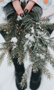Preview wallpaper fir, snow, branches, hands