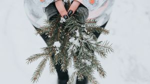 Preview wallpaper fir, snow, branches, hands