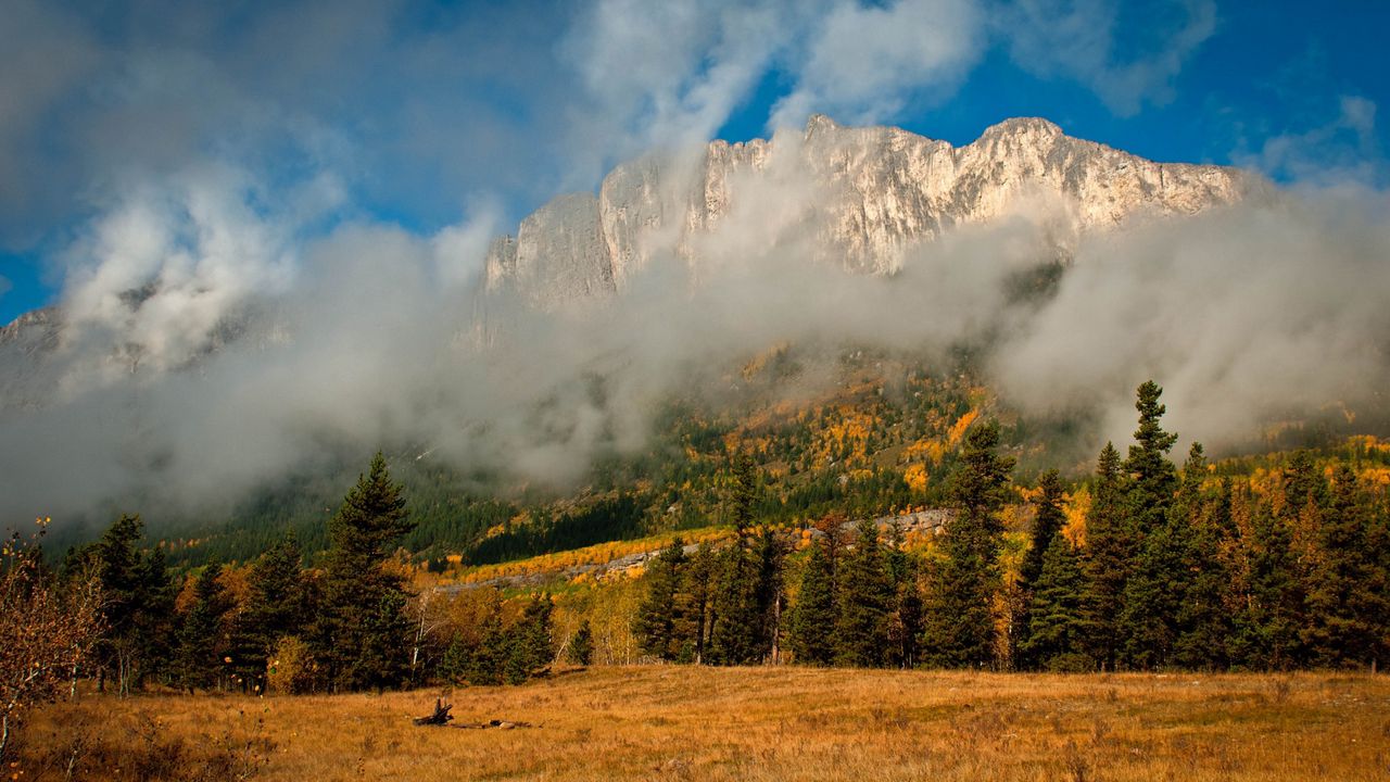 Wallpaper fir, trees, mist, mountains, autumn, nature, clouds