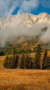 Preview wallpaper fir, trees, mist, mountains, autumn, nature, clouds