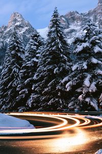 Preview wallpaper fir, winter, turn, road, snow