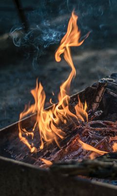 240x400 Wallpaper fire, barbecue, bonfire, firewood