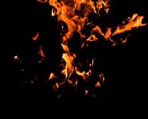 Preview wallpaper fire, bonfire, dark, flame, black