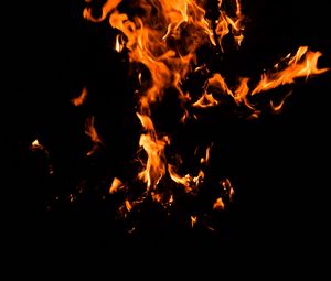 Preview wallpaper fire, bonfire, dark, flame, black