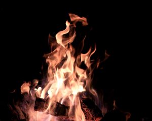 Preview wallpaper fire, bonfire, firewood, darkness
