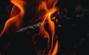 Preview wallpaper fire, bonfire, flame, close up