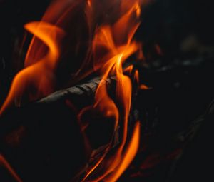 Preview wallpaper fire, bonfire, flame, close up