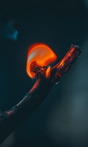 Preview wallpaper fire, branch, flame, dark