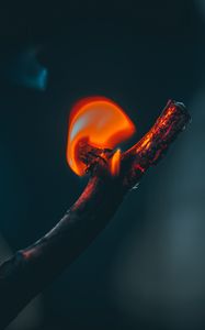Preview wallpaper fire, branch, flame, dark