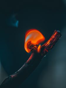 Preview wallpaper fire, branch, flame, dark