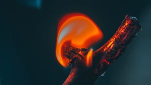 Preview wallpaper fire, branch, flame, dark