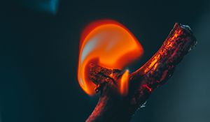 Preview wallpaper fire, branch, flame, dark