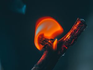 Preview wallpaper fire, branch, flame, dark