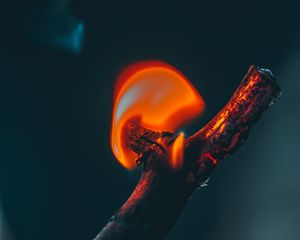 Preview wallpaper fire, branch, flame, dark